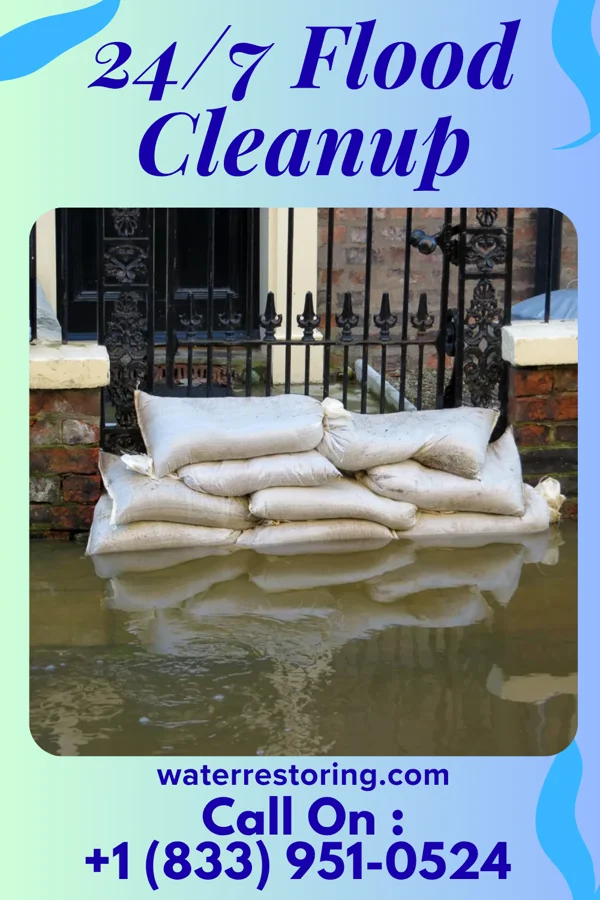 24/7 Flood Cleanup in Daisy, AR