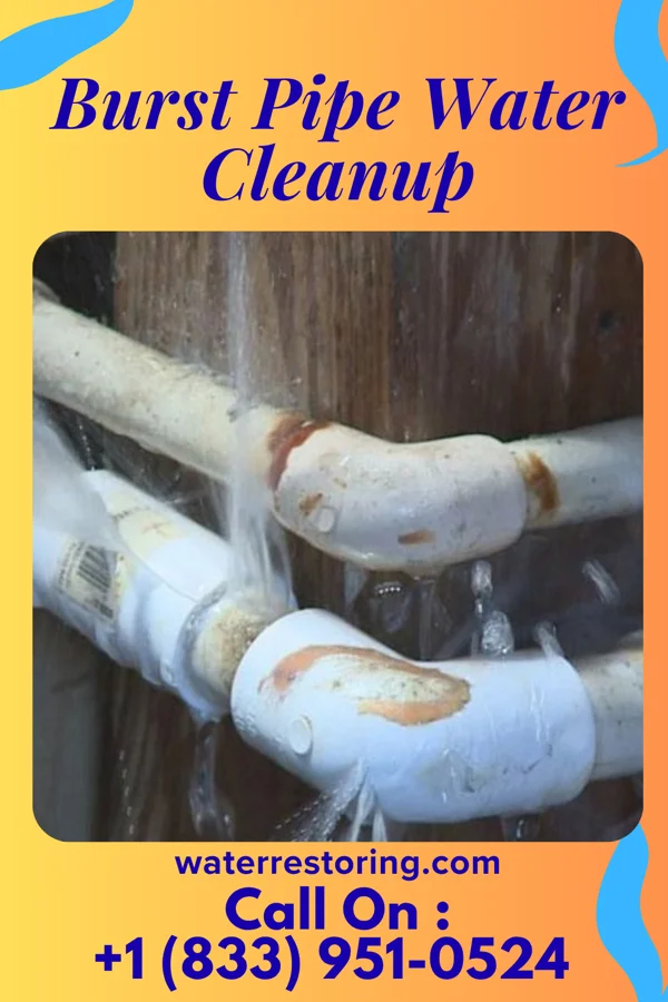 Burst Pipe Water Cleanup in Daisy, AR